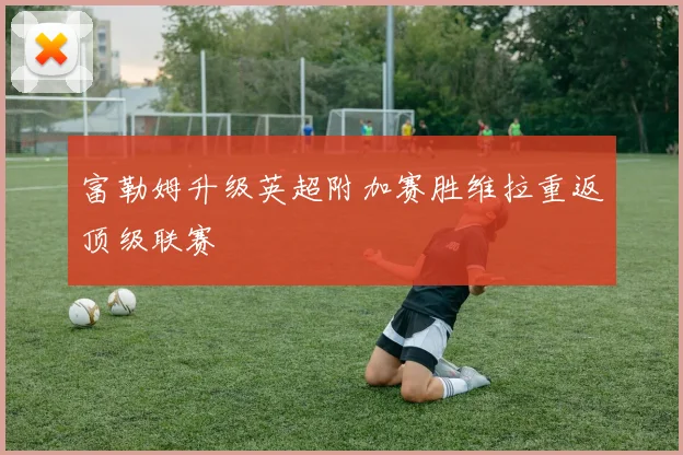 富勒姆升级英超附加赛胜维拉重返顶级联赛